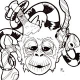 munky1.jpg