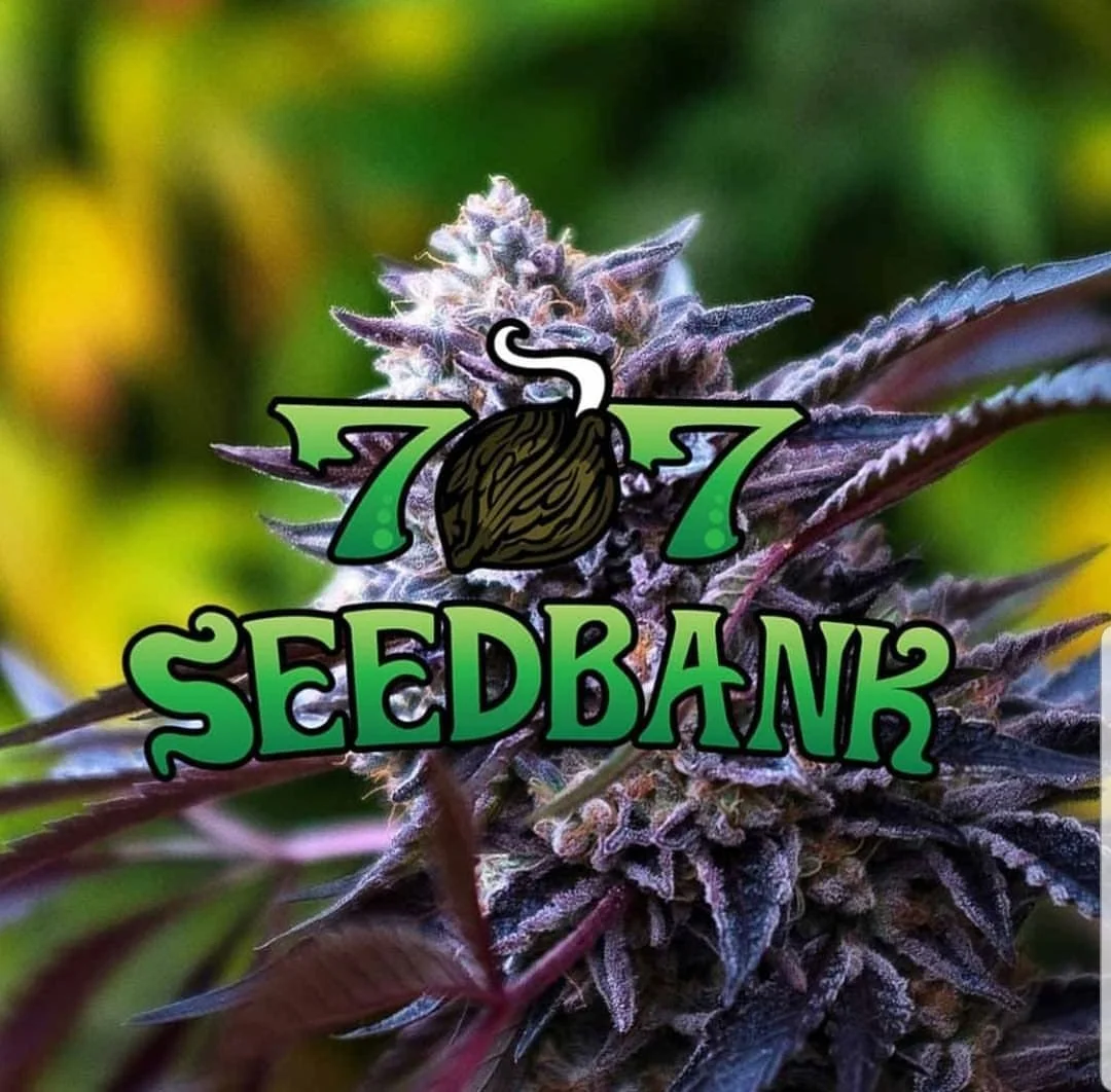 707 seedbank.jpg