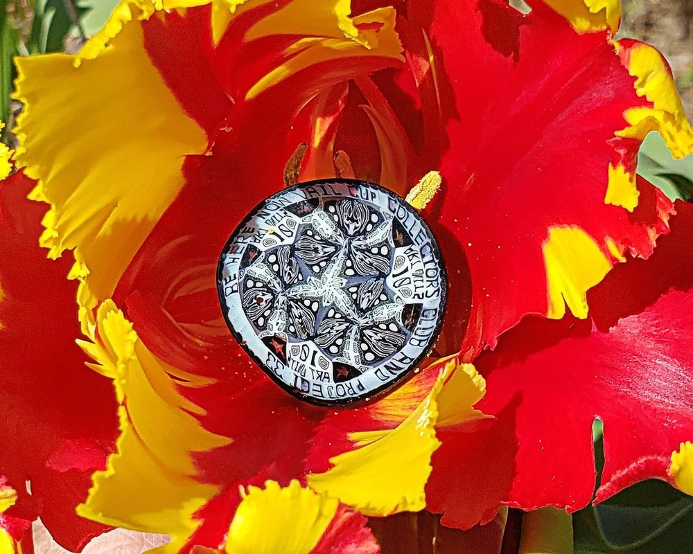 CYMERA_20190429_144629.jpg,