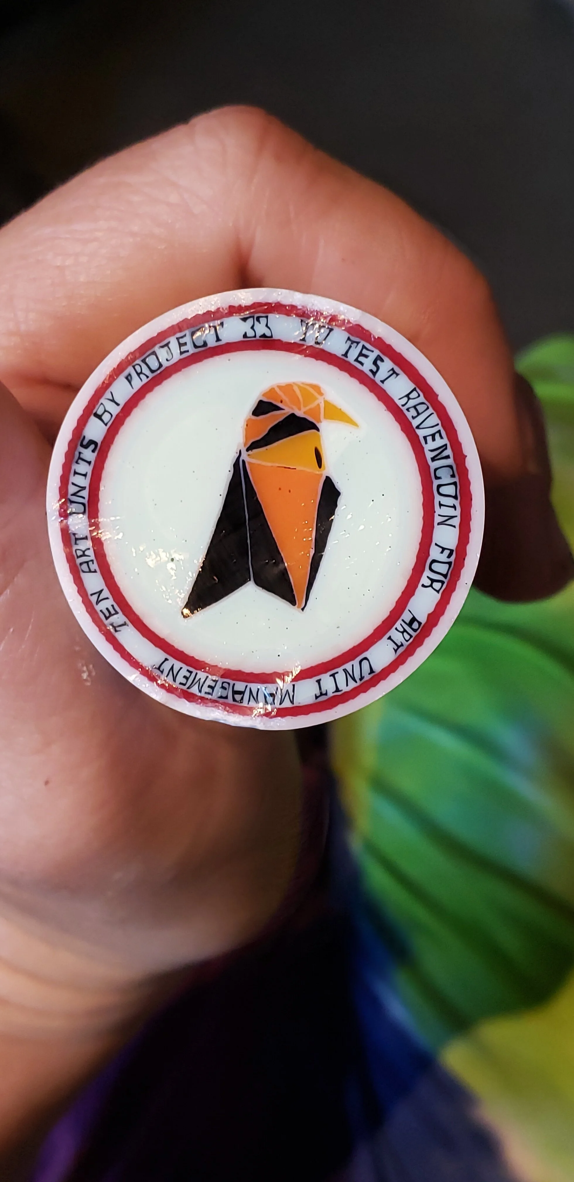 20190628_112609.jpg
