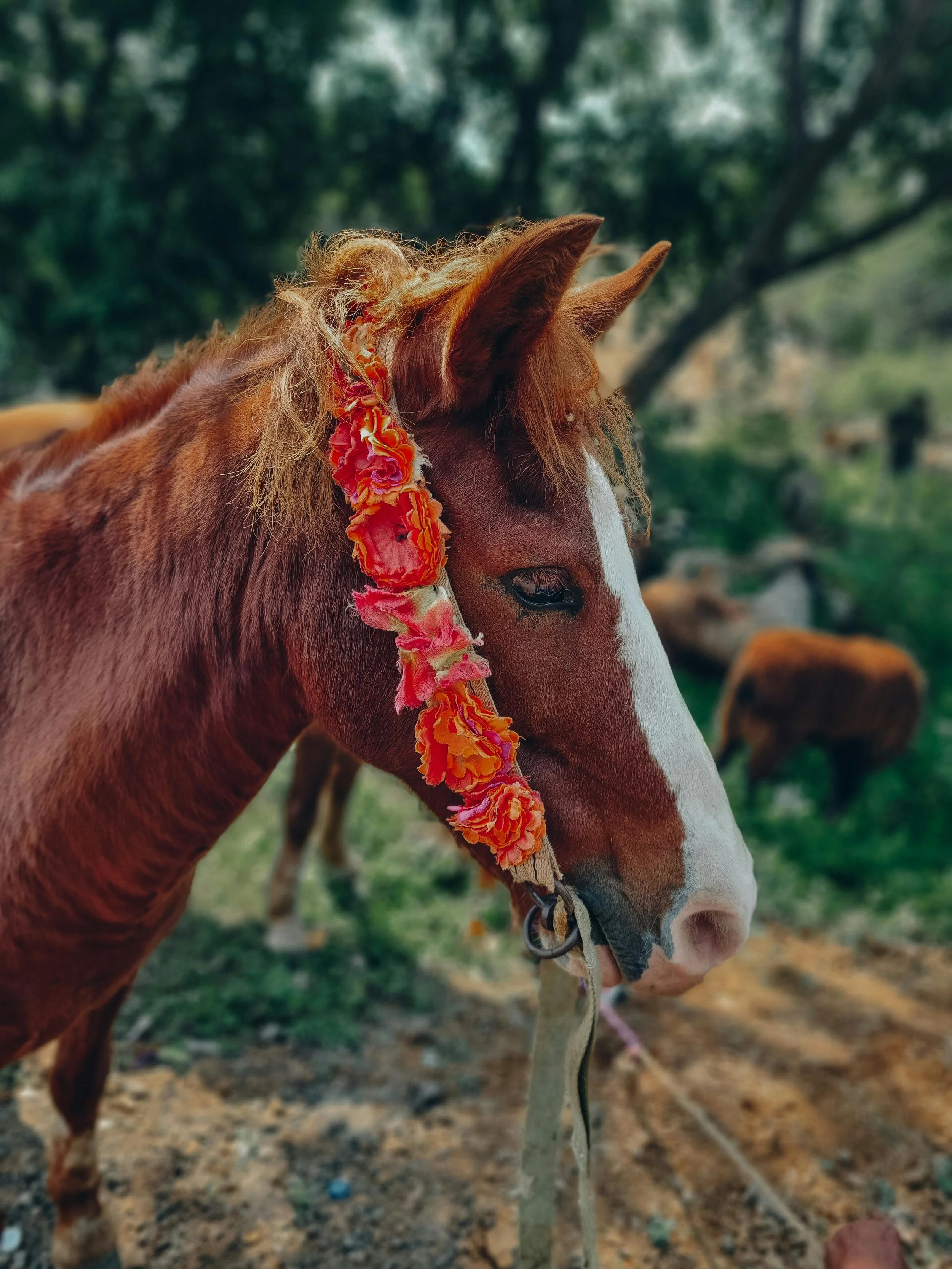 Run for the Roses Benefit Gala