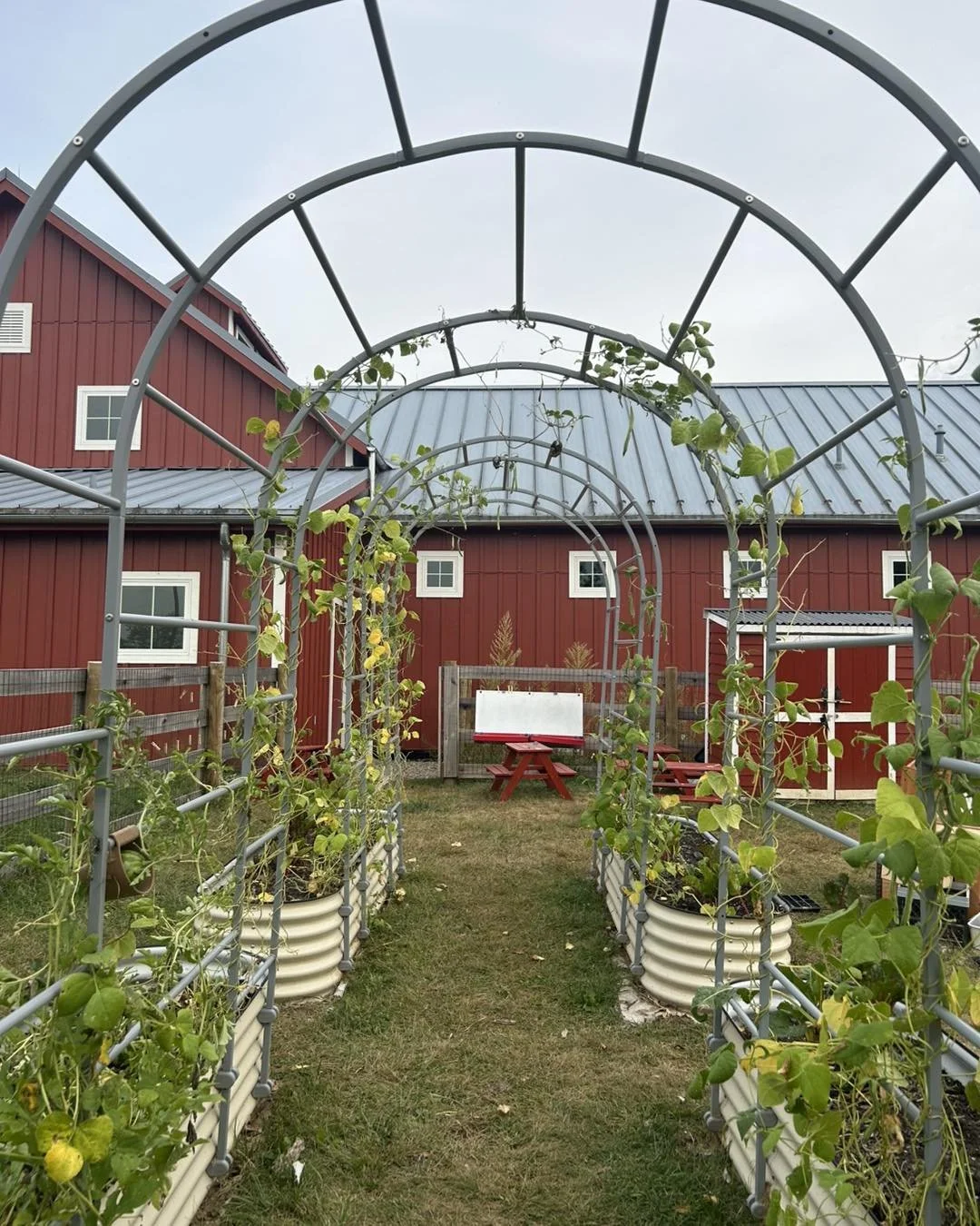 Outdoor Learning in Early Childhood