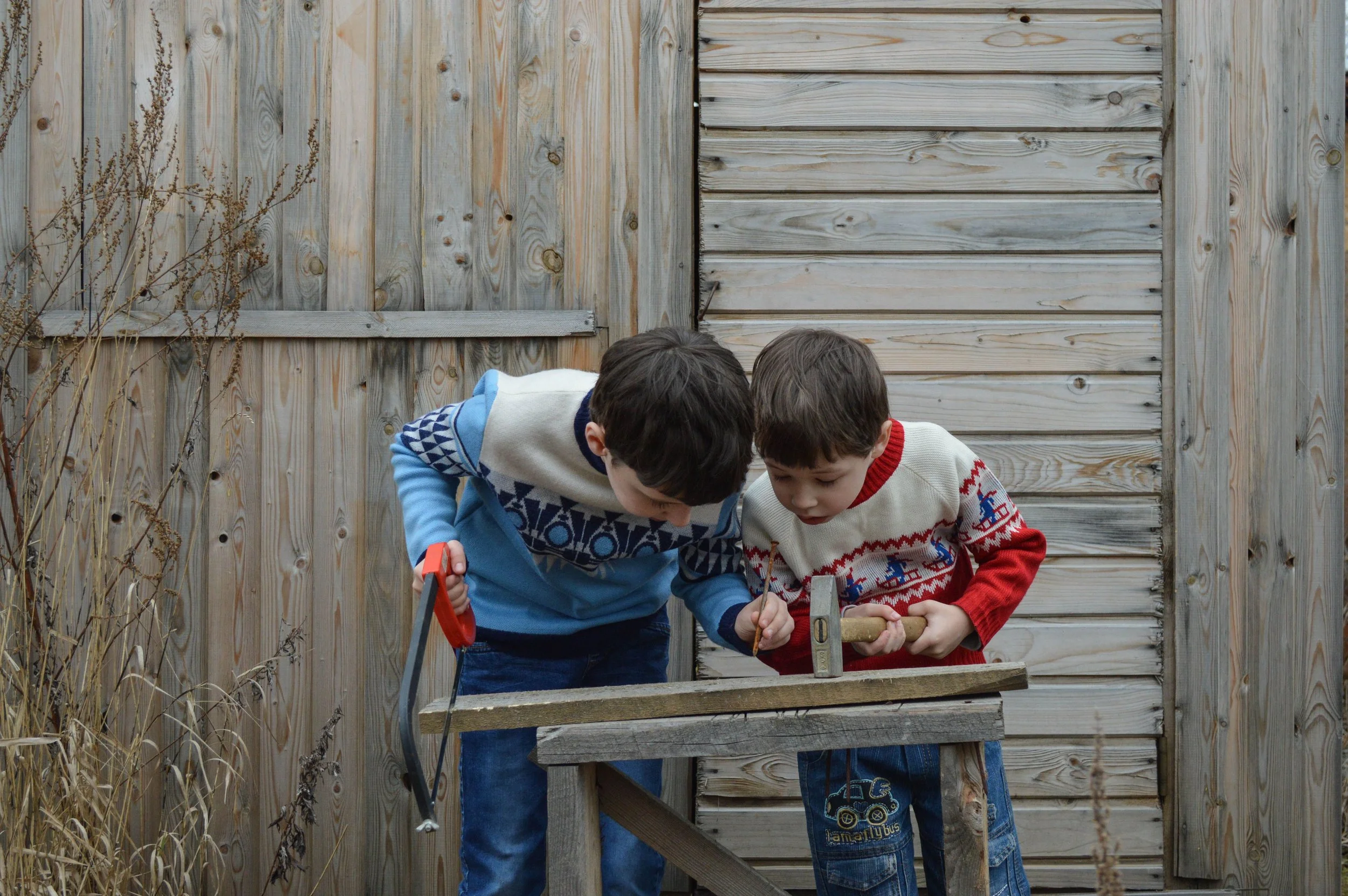 Two boys are working with tools on a piece of wood. One is holding a saw and a hail. The other is holding a hammer. Both are looking at the nail, poised over the wood.