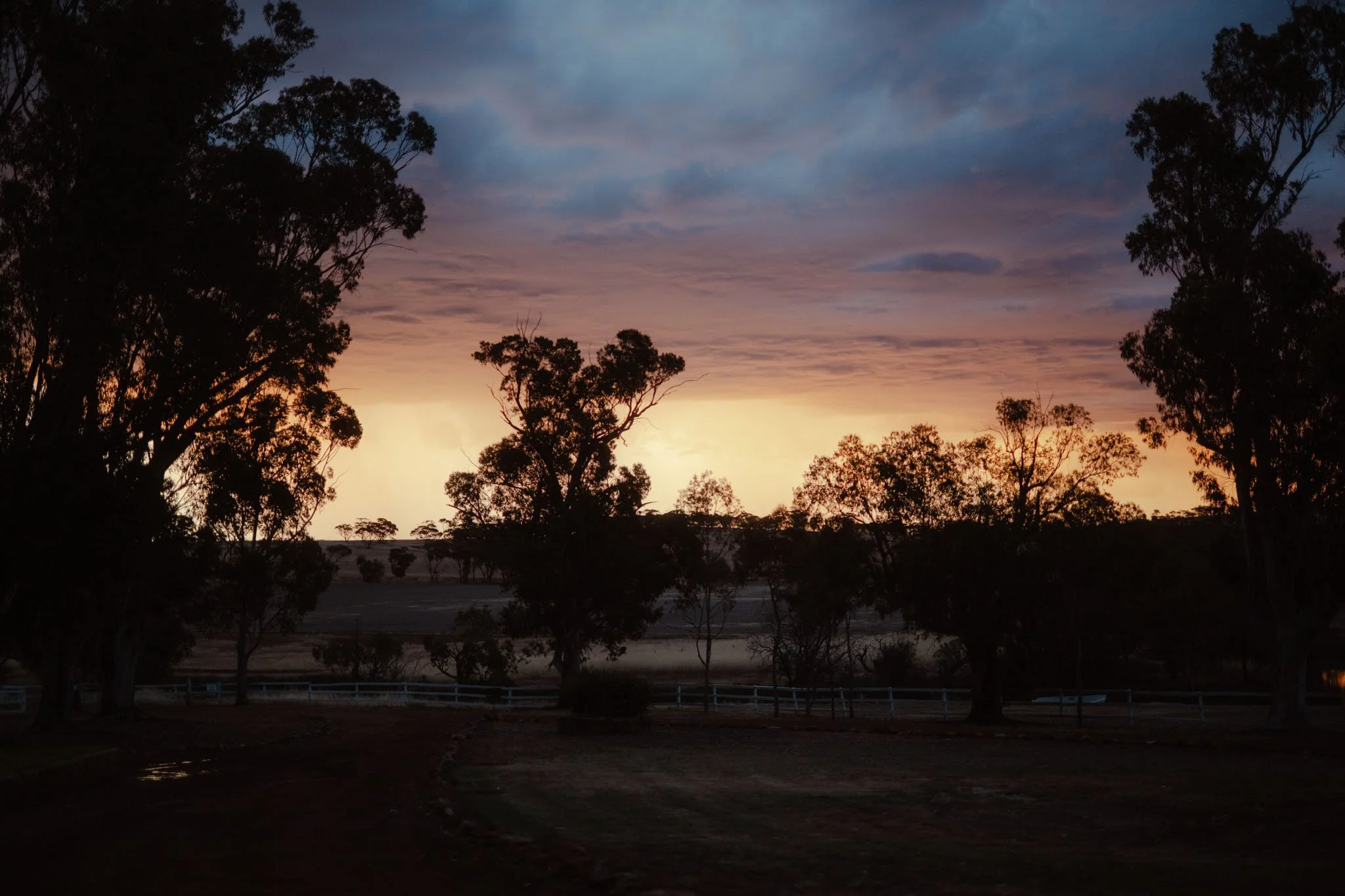 A breathtaking landscape view of a moody twilight sunset over the Avon Valley at Buckland Estate, featuring silhouetted eucalyptus trees against vibrant orange and purple storm clouds