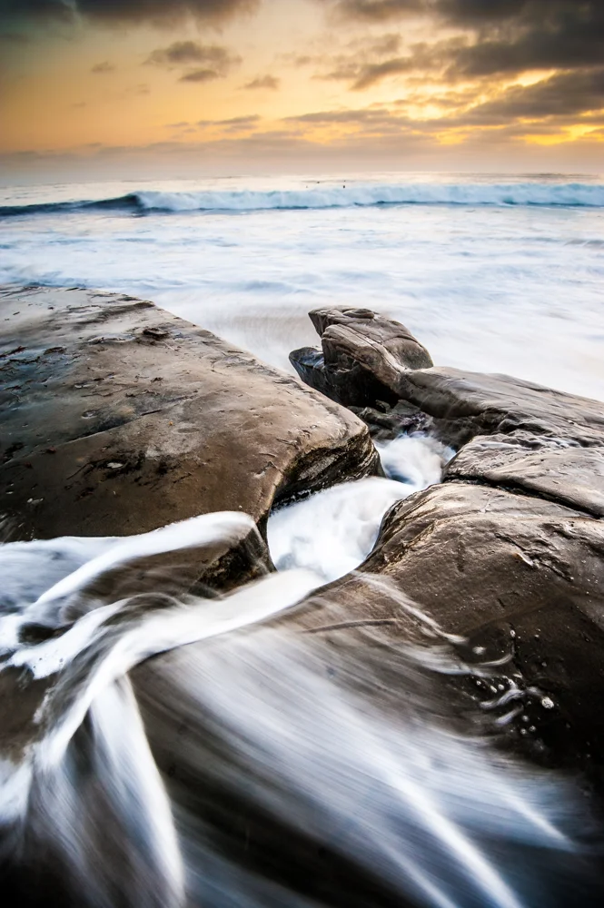 Rush to the Sea
