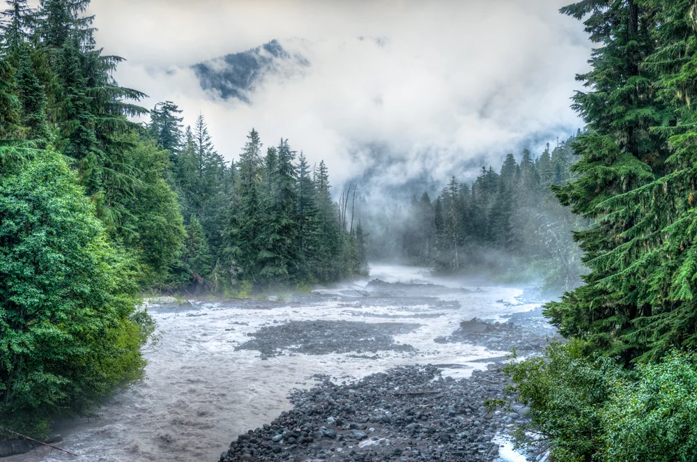 White River Fog