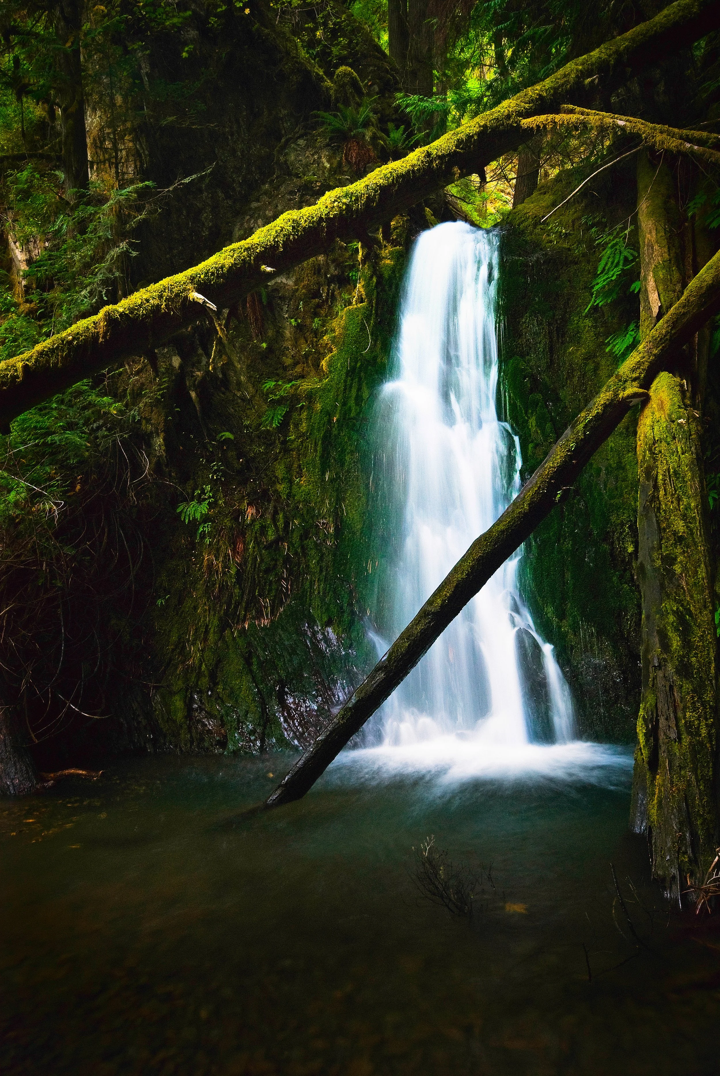 Place of Falling 2.jpg