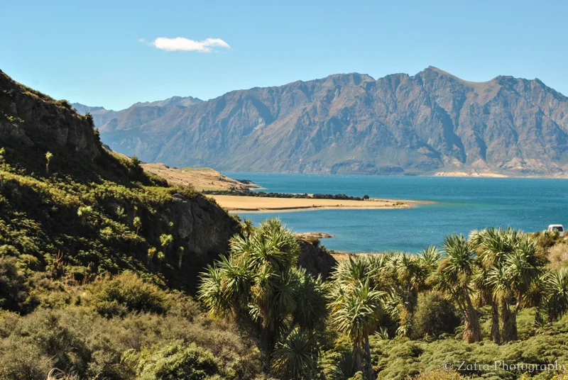 Nzfavorite-54.jpg