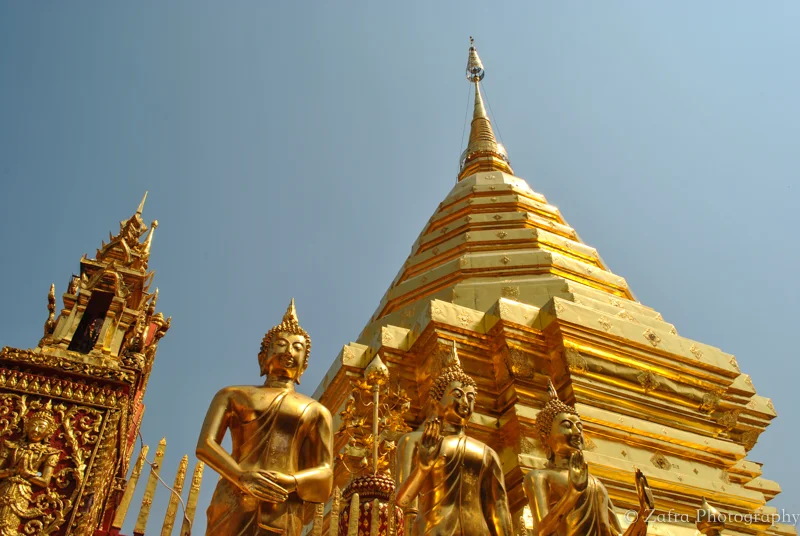 Thaifavorites-38.jpg