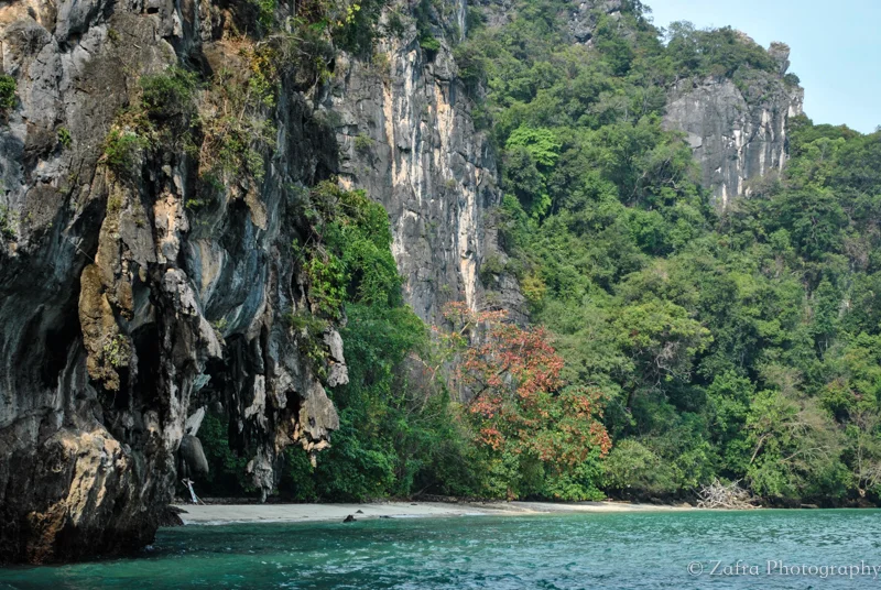 Thaifavorites-27.jpg