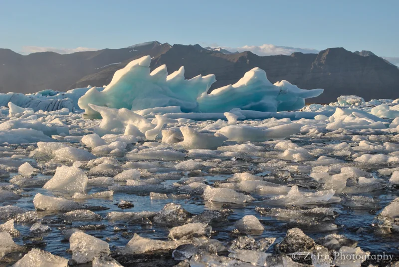 Icefavorites-19.jpg