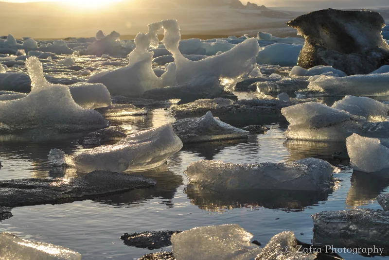 Icefavorites-23.jpg