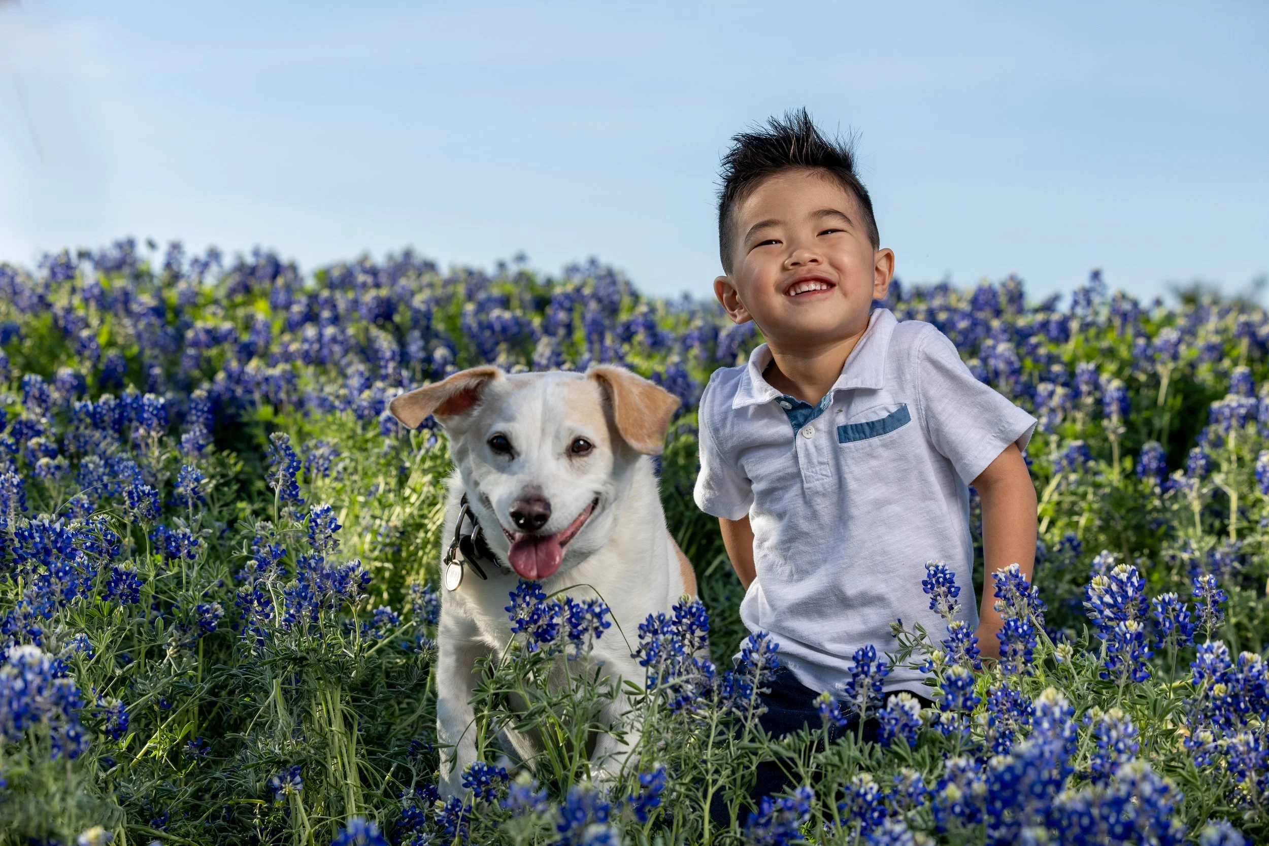 GIO_9643_bluebonnet tiff allen cal edited.jpg