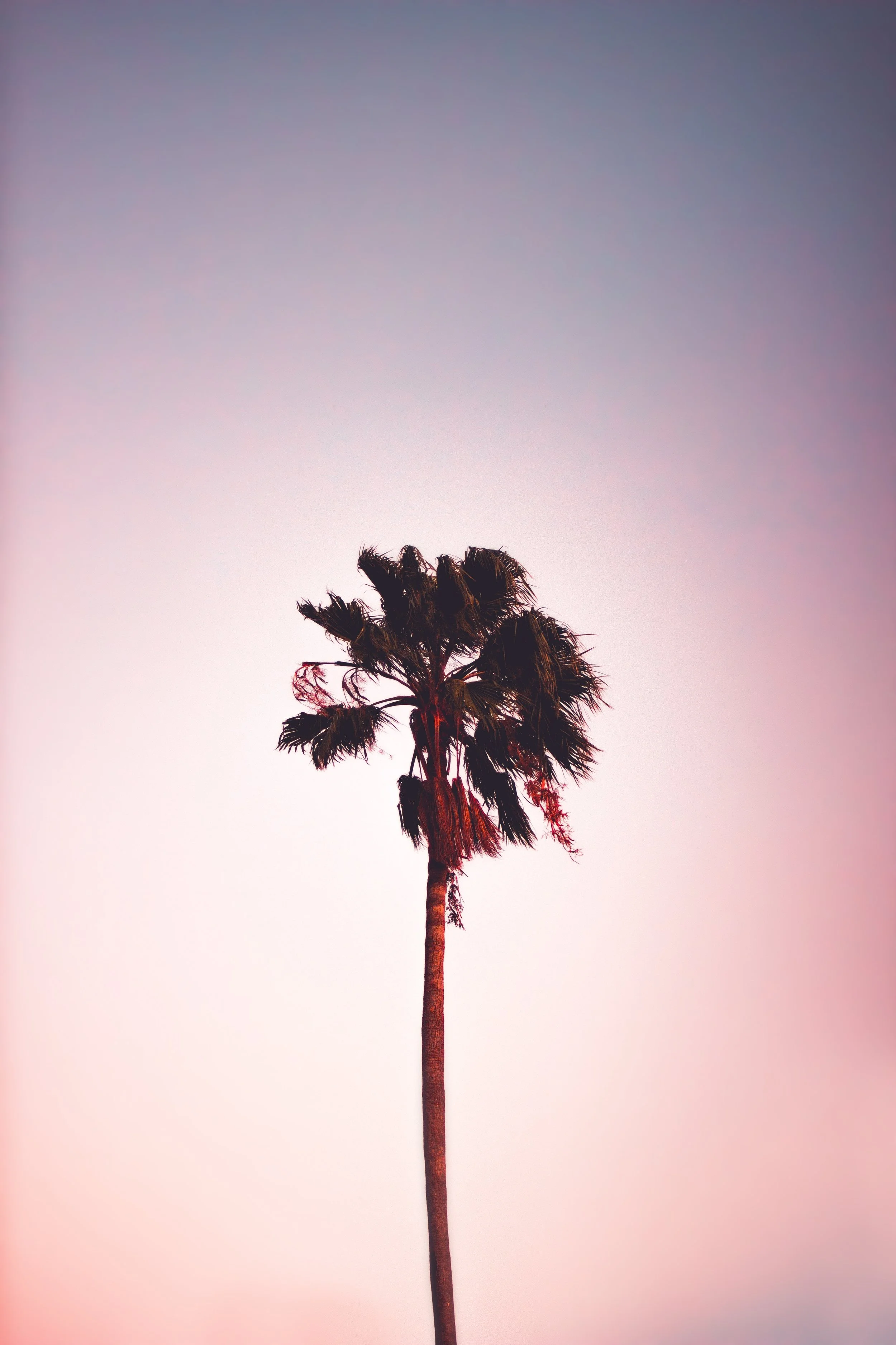 grayson-smith-413894-unsplash.jpg