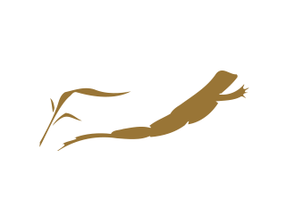 Frog.png