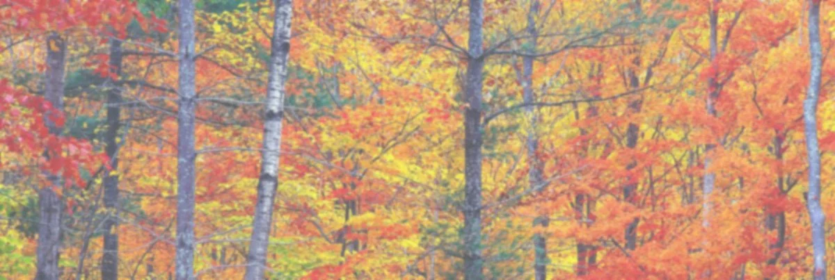 Fall 2022 Software Update