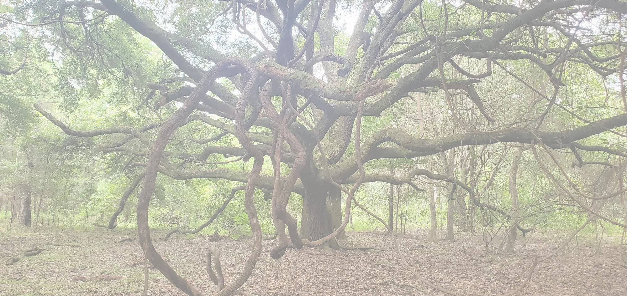August 2024 | Gainesville, Florida | 3-Day Small In-Class Training