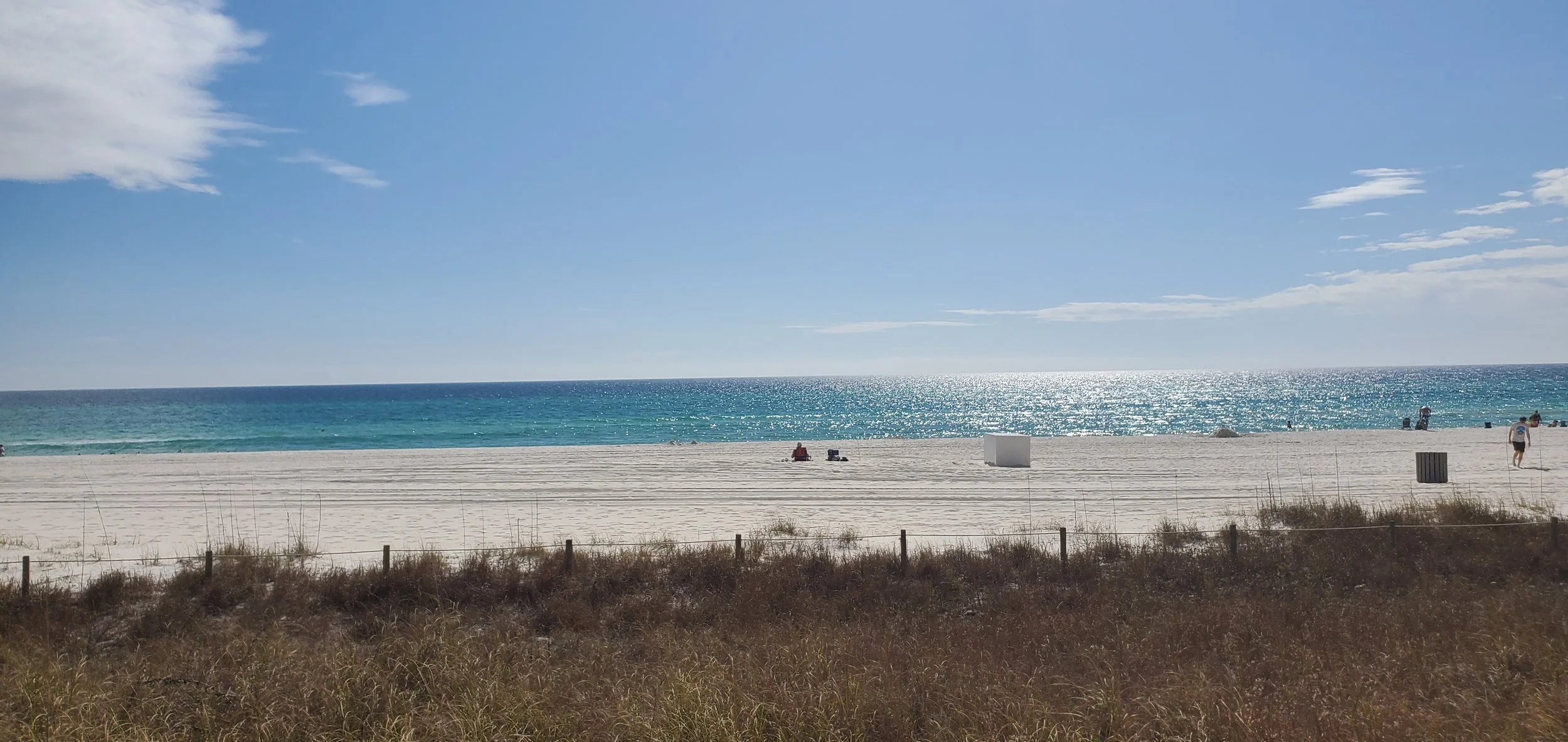 August 2026 | Gainesville, Florida | Intensive 4-Day Small In-Class Training | 3 Seats Remaining