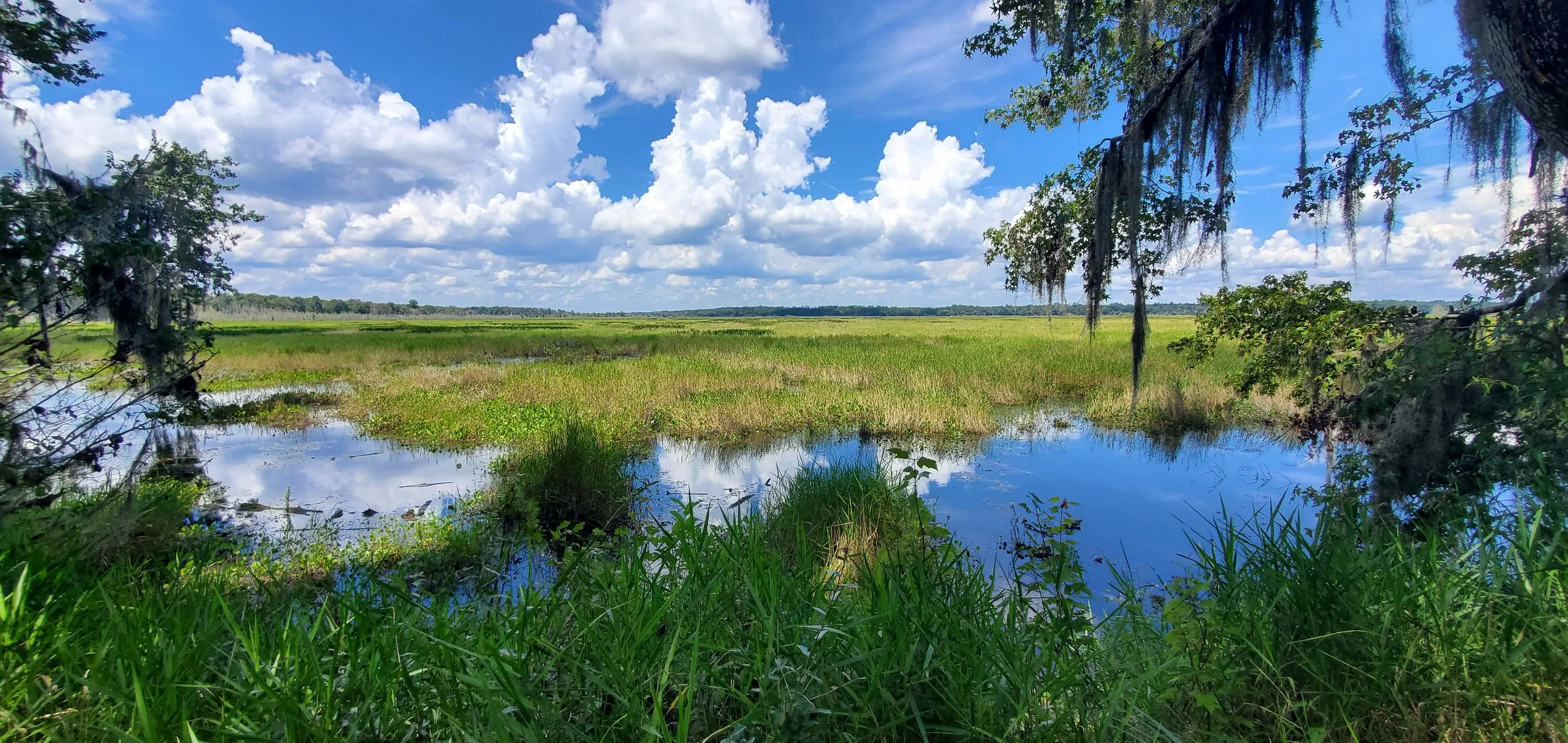 January 2027 | Gainesville, Florida | Intensive 4-Day Small In-Class Training | 3 seats remaining