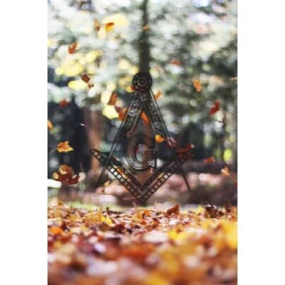 falling_leaves_SC.jpg