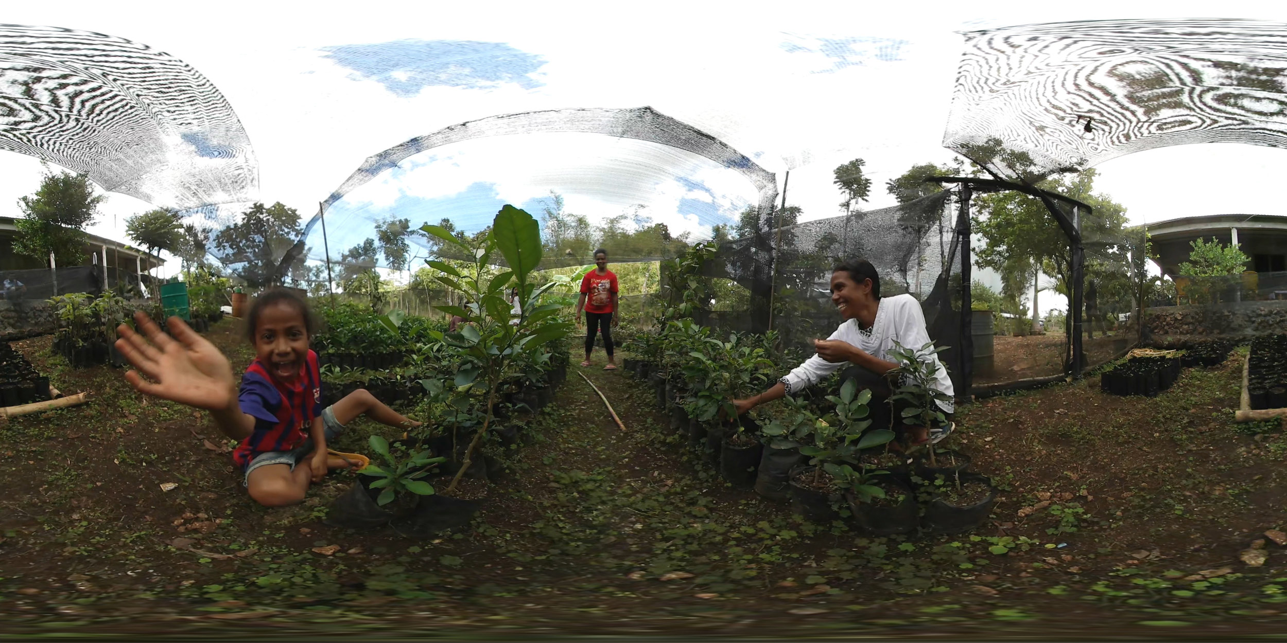 Sustainable garden in Timor-Leste by Ben Kreimer.