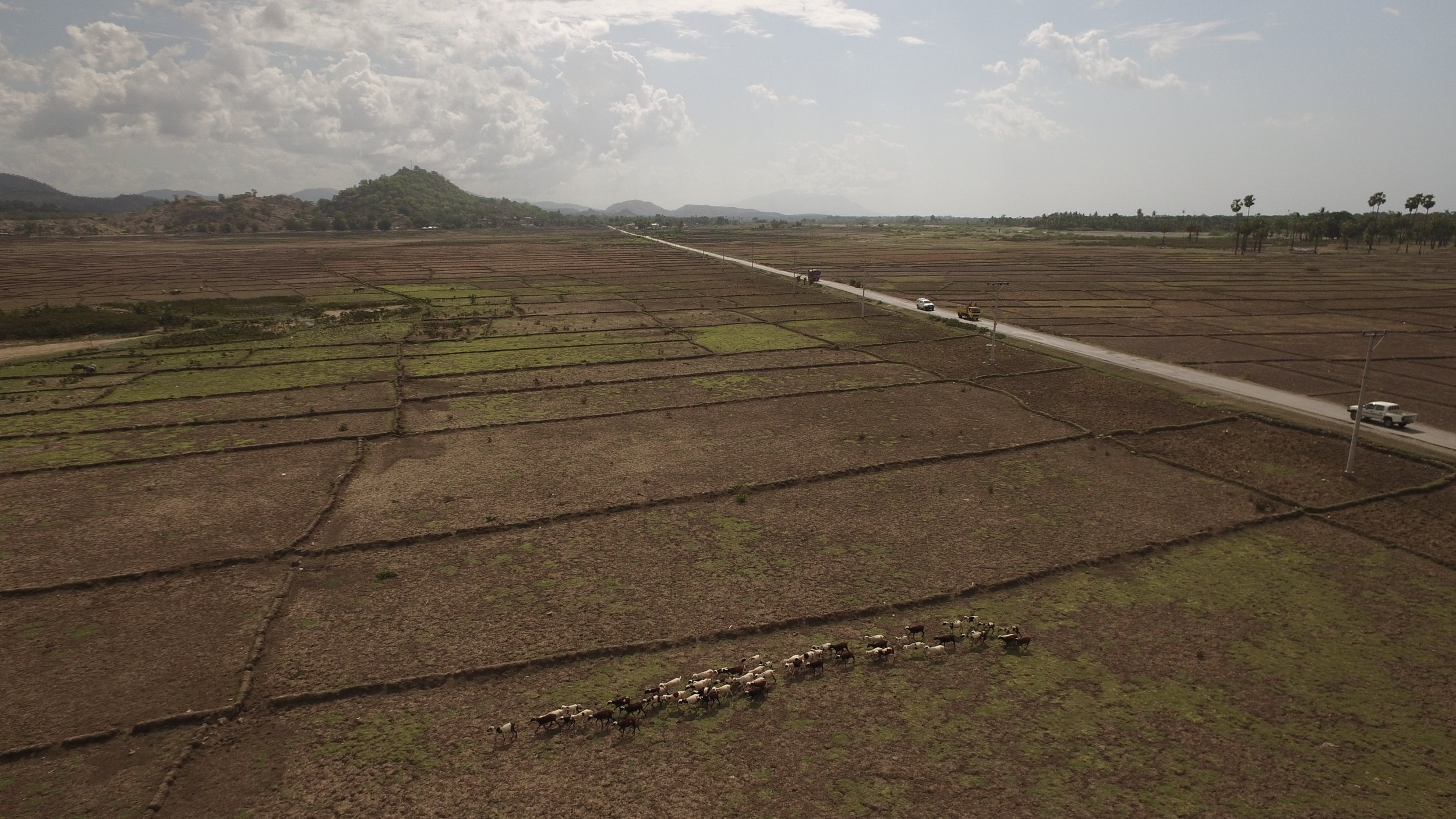 Drone footage from Timor-Leste farmlands by Ben Kreimer