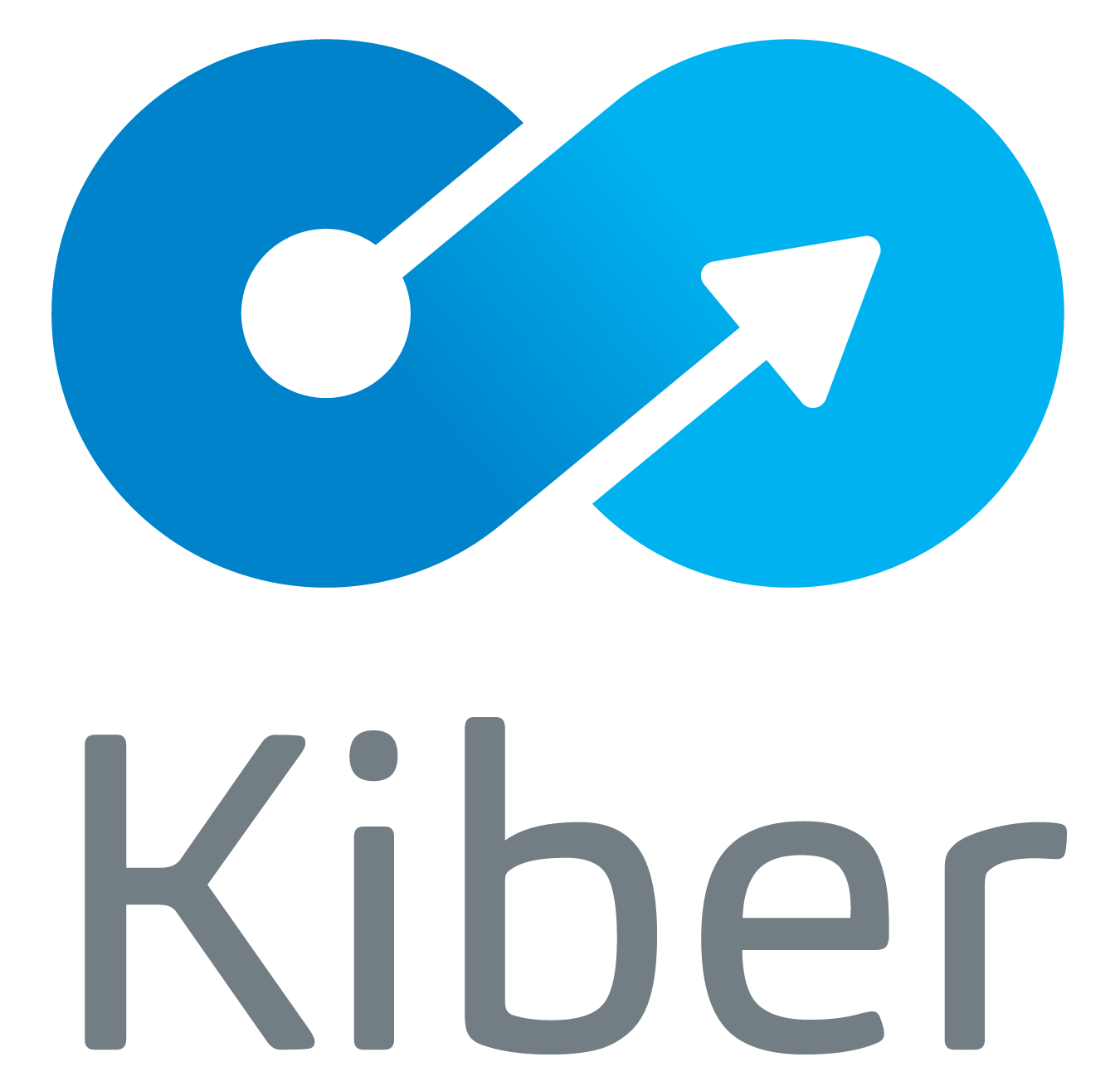 Logo_Kiber_2018.png