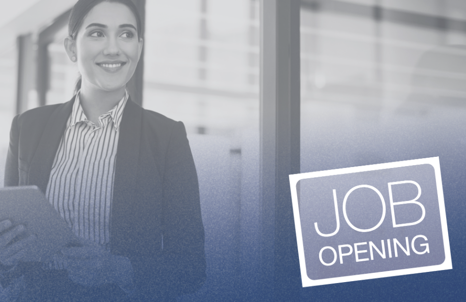 Job Opening: Technical Senior Artists, MadVR