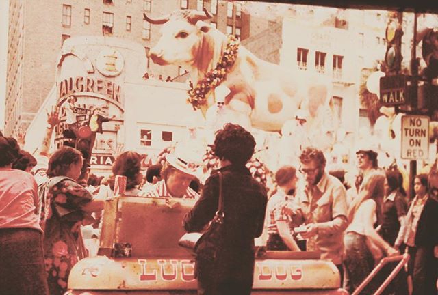 How about this for a flashback? @luckydogsnola on Canal (we're guessing the seventies). #throwback #latergram #mardigras #neworleans #classic #vintage #mardigras #floats #polaroid #nola #carnivale #louisiana #food #hotdogs #legendary #tradition