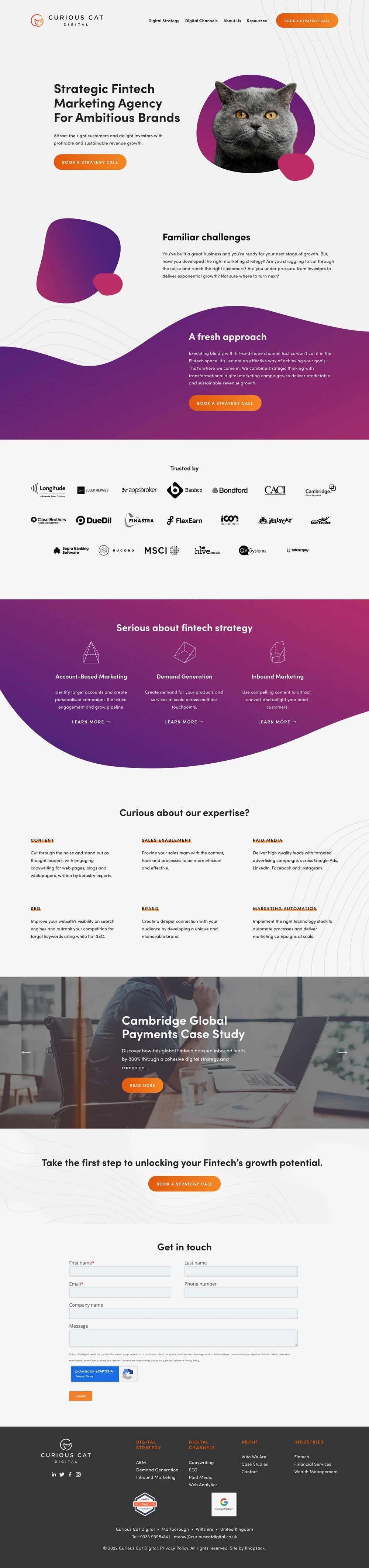Curious Cat Digital: Website Design | Knapsack Creative Co.