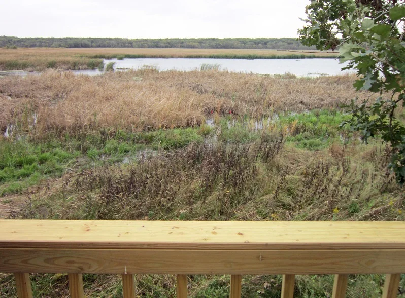 The view of the marsh at Oak Ridge on an October day from the new low viewing platform that was recently completed. Photo by Vera Leopold/TWI.