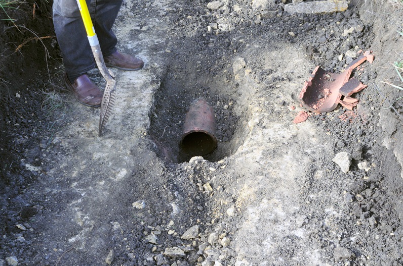 Removing agricultural drain tiles that are carrying water off the site (the clay pipe visible here) is an important step in restoring wetlands at Lobelia Meadows. Here the dolomite bedrock close to the surface can also be seen.