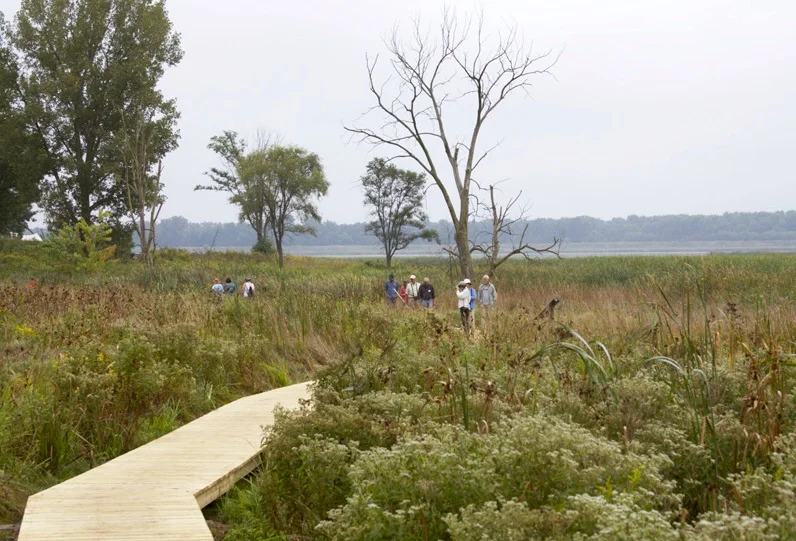 Guests at the refuge anniversary event September 10 explore the rich wetlands and prairie along the new boardwalk trail.
