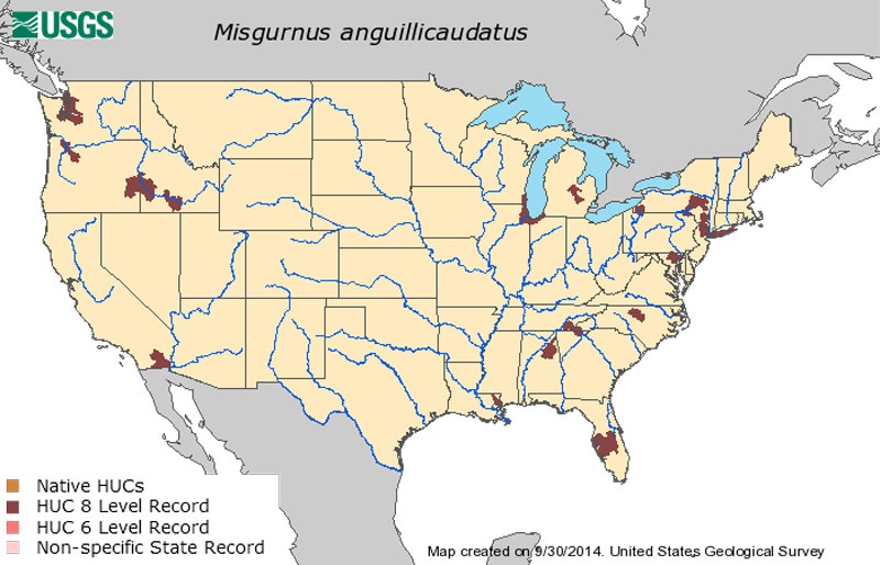 This U.S. Geological Survey map shows locations where the Oriental weather loach has been found.