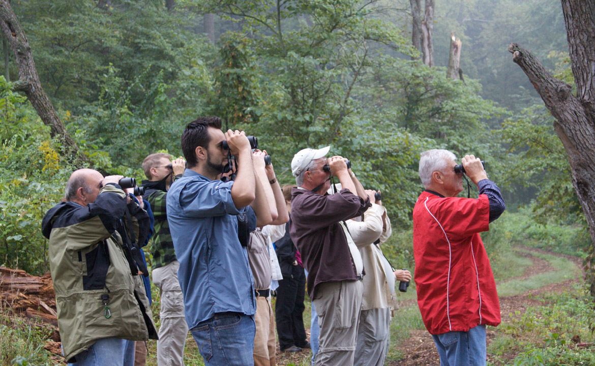 Birdwatching at the Dixon Waterfowl Refuge.