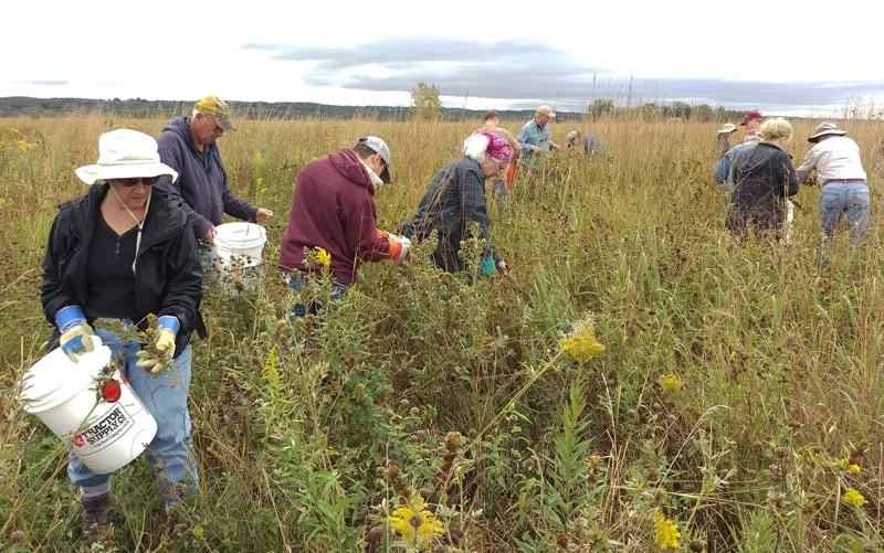 Volunteers get to work in the prairie near the Refuge’s observation tower.