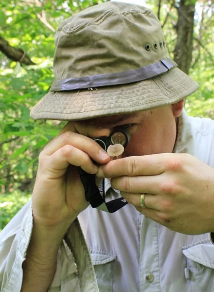 A mycologist uses a hand lens to identify a fungus. Photo by Beth Botts.