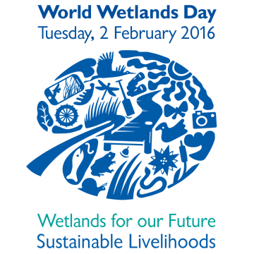 Celebrate World Wetlands Day on February 2 — The Wetlands Initiative