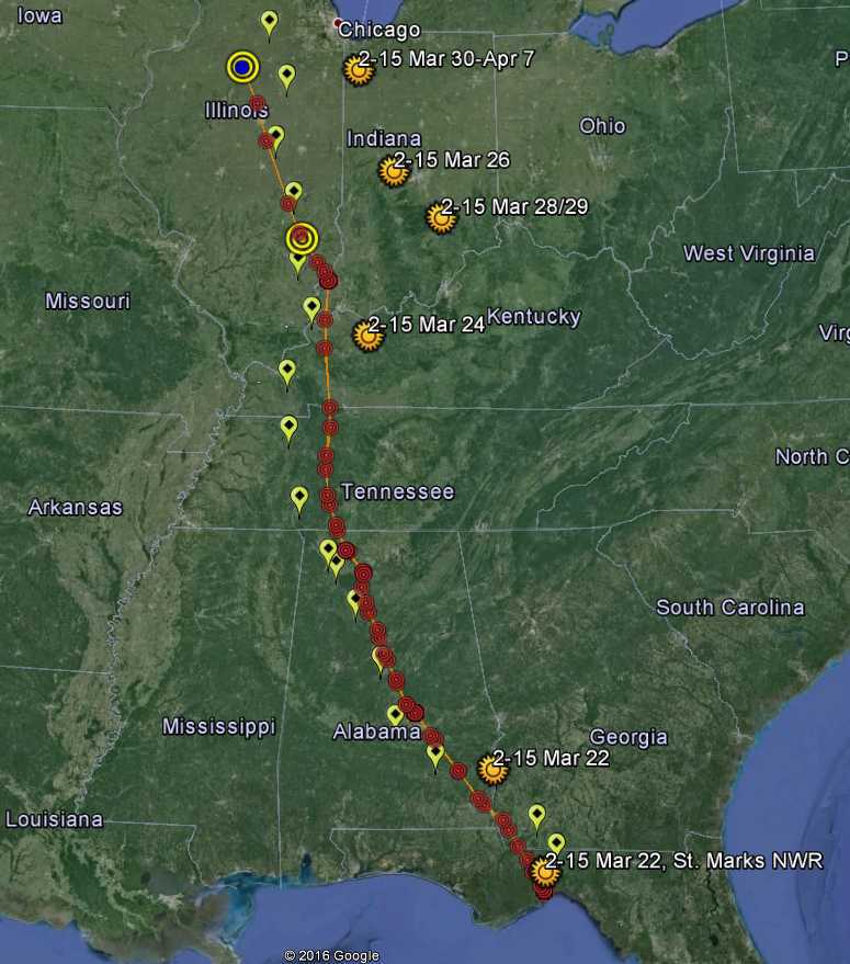 The yellow place markers indicate the southward migration route stopovers for the Whooping Cranes following the ultralight plane in 2015. Red dots denote the route followed by five of the cranes on their independent return flight (a sixth bird traveled separately, indicated by the sunbursts). The blue marker is the Dixon Waterfowl Refuge. Image courtesy of Operation Migration.