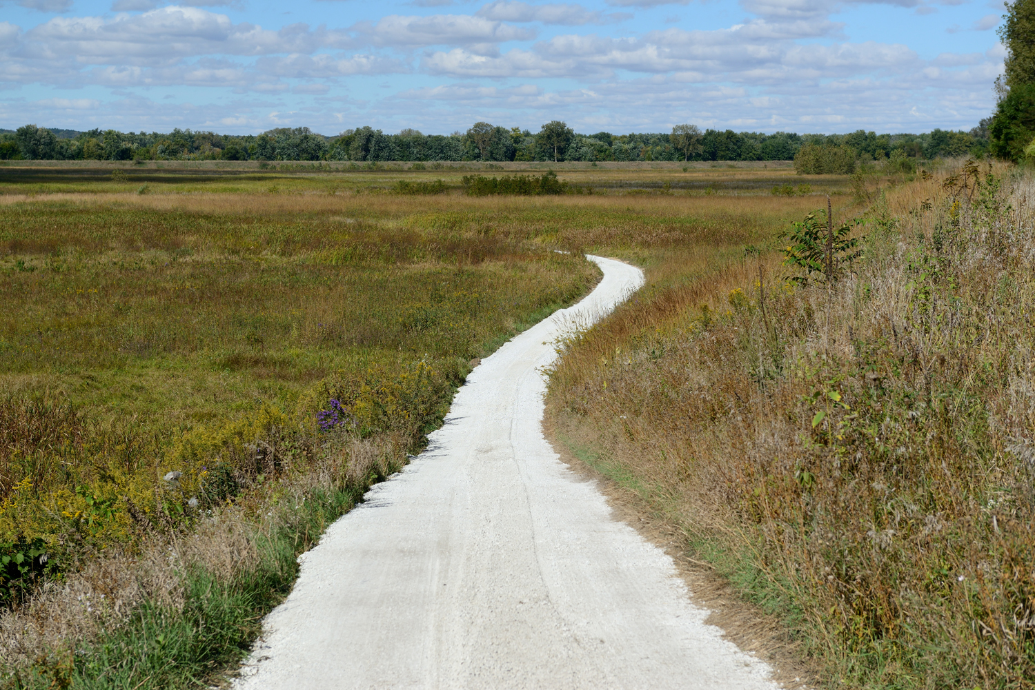 The 2.7-mile Marquis Oak Ridge Trail leads through rich restored wetland, prairie, and savanna habitats at the Dixon Waterfowl Refuge.