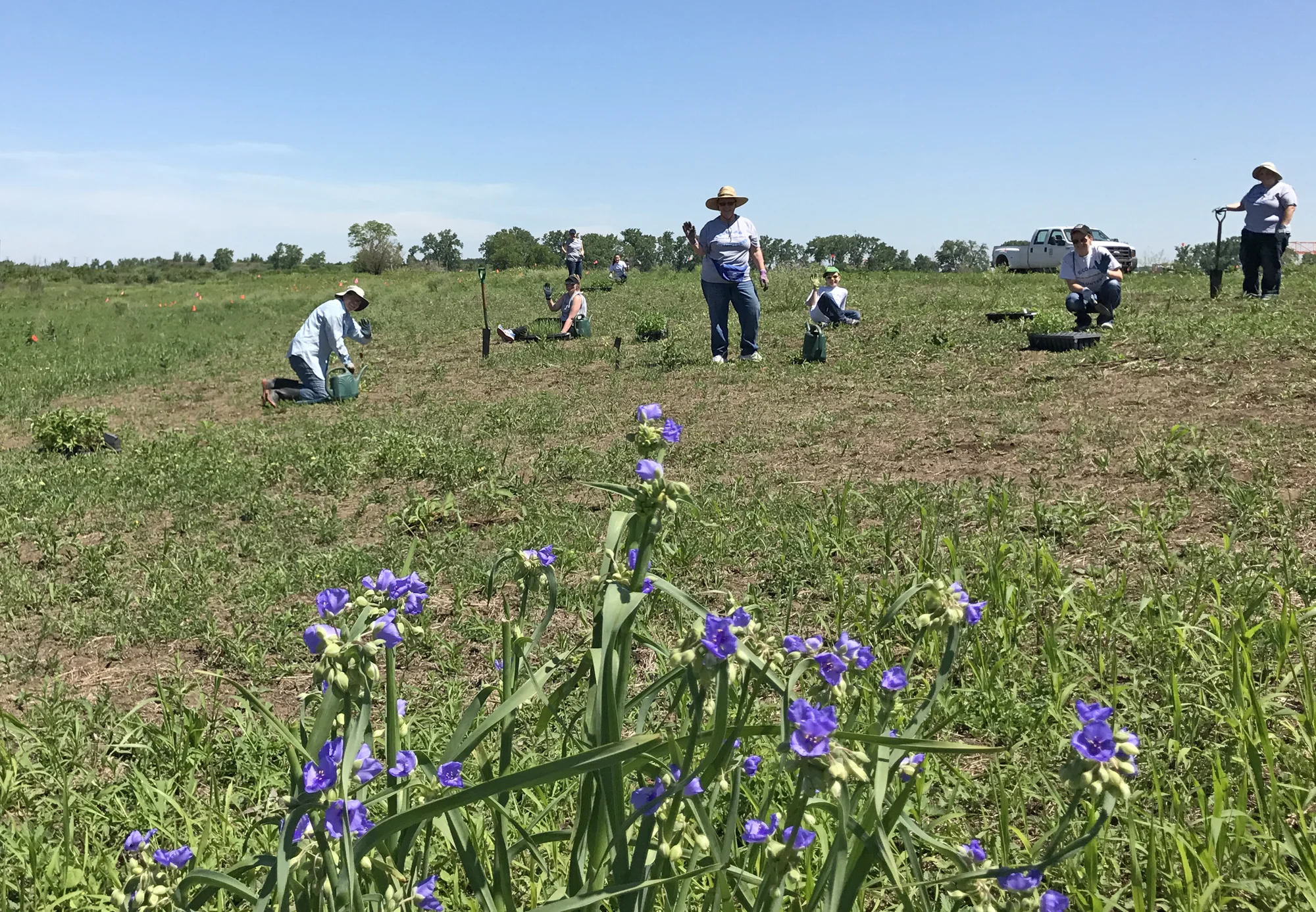 A group of Ecolab volunteers gets to work behind a blooming patch of Ohio spiderwort. Photo by Allison Cisneros/TNC.