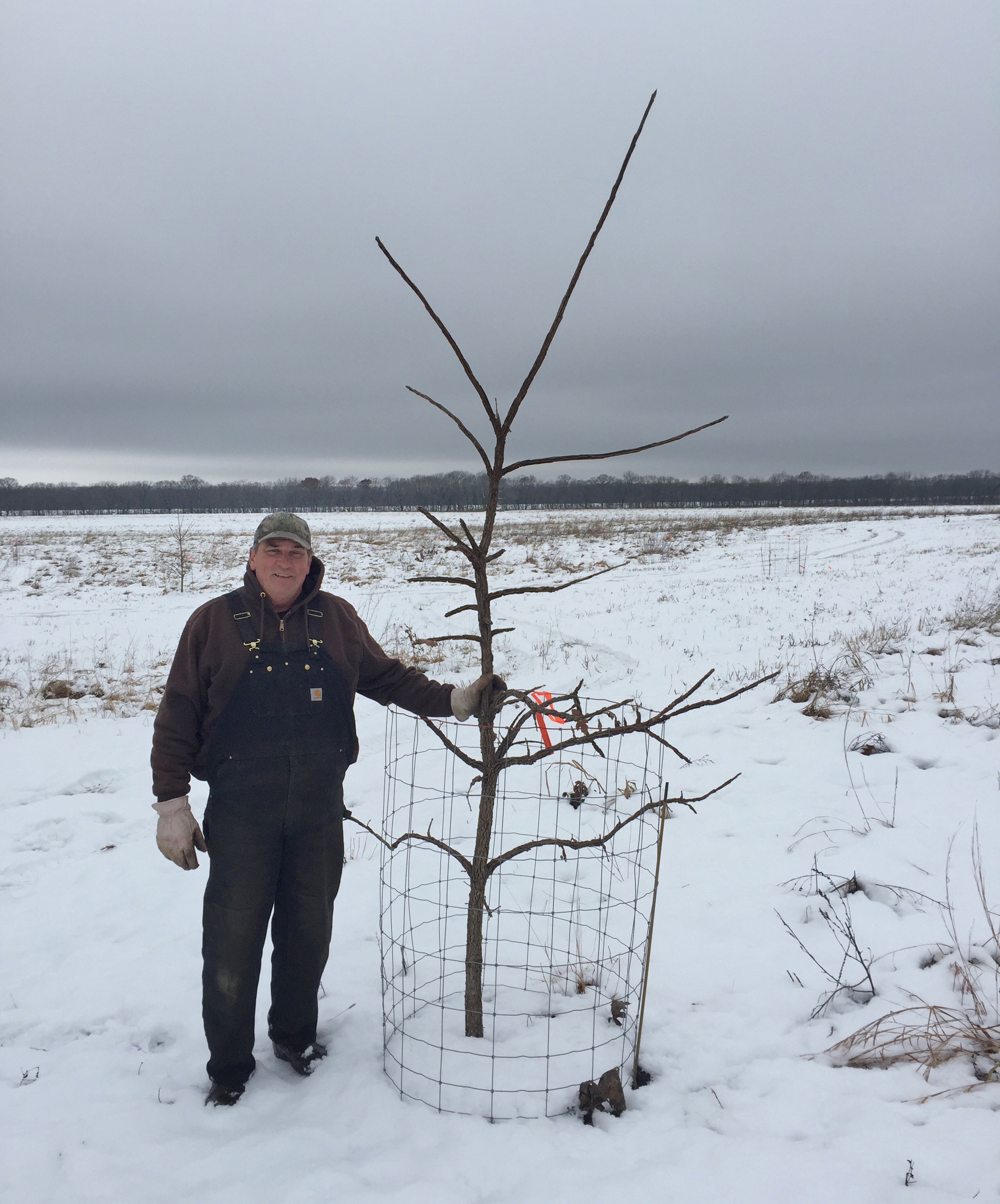 Dixon Refuge Site Manager Rick Seibert with a bur oak sapling at Hickory Hollow. Photo by Gary Sullivan/TWI.