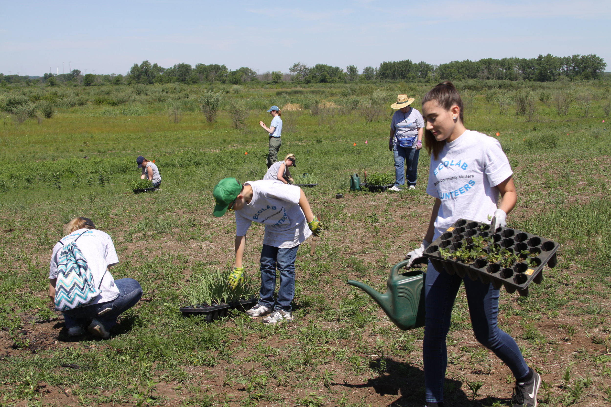 Ecolab employees and their families planting plugs at Midewin’s Secret Ridge area. Photo by Vera Leopold/TWI.