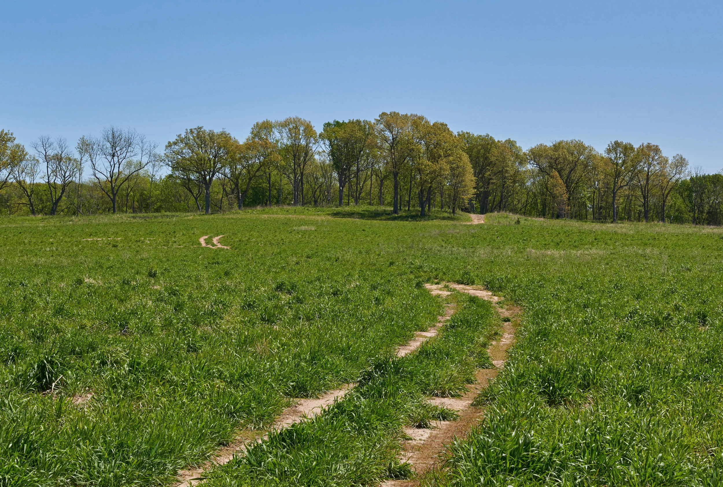 A view in April 2017 of the savanna at Sandy Hollow where the pavilion will be constructed, overlooking the prairie-in-restoration. Photo by Gary Sullivan/TWI.