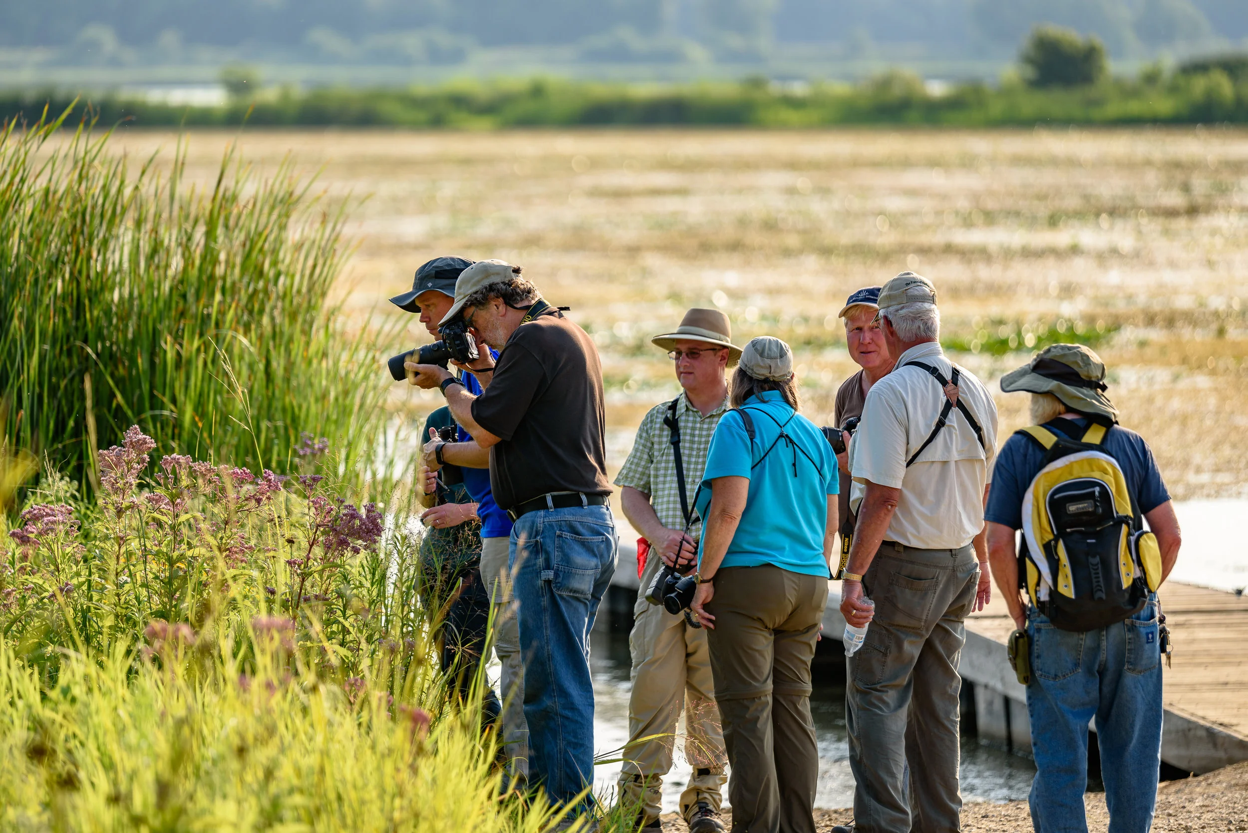 The BioBlitz began with a buzz as Terry Miesle, volunteer bee expert, found a federally endangered rusty-patched bumblebee next to the boat launch within 10 minutes of the event start. A crowd gathered around! Photo by Rafi Wilkinson.