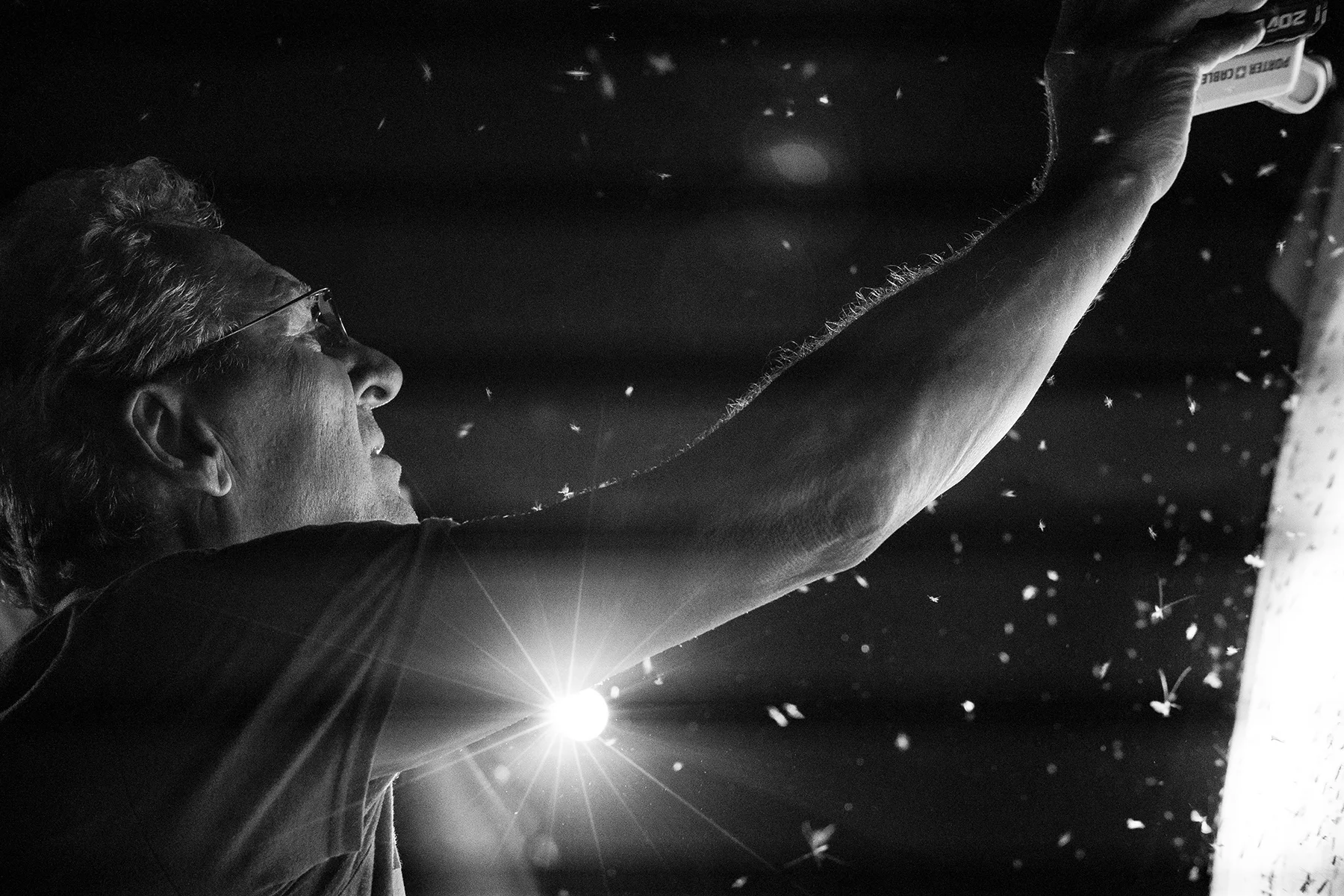 Moth expert Frank Hitchell from Peoria set up a “light trap” that attracted a huge diversity of night-flying insect species. Photo by Lindsay Appel.