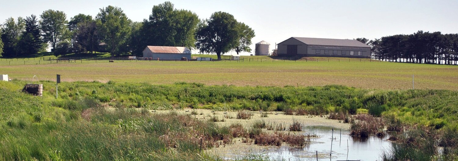 Thacker Wetland.jpg