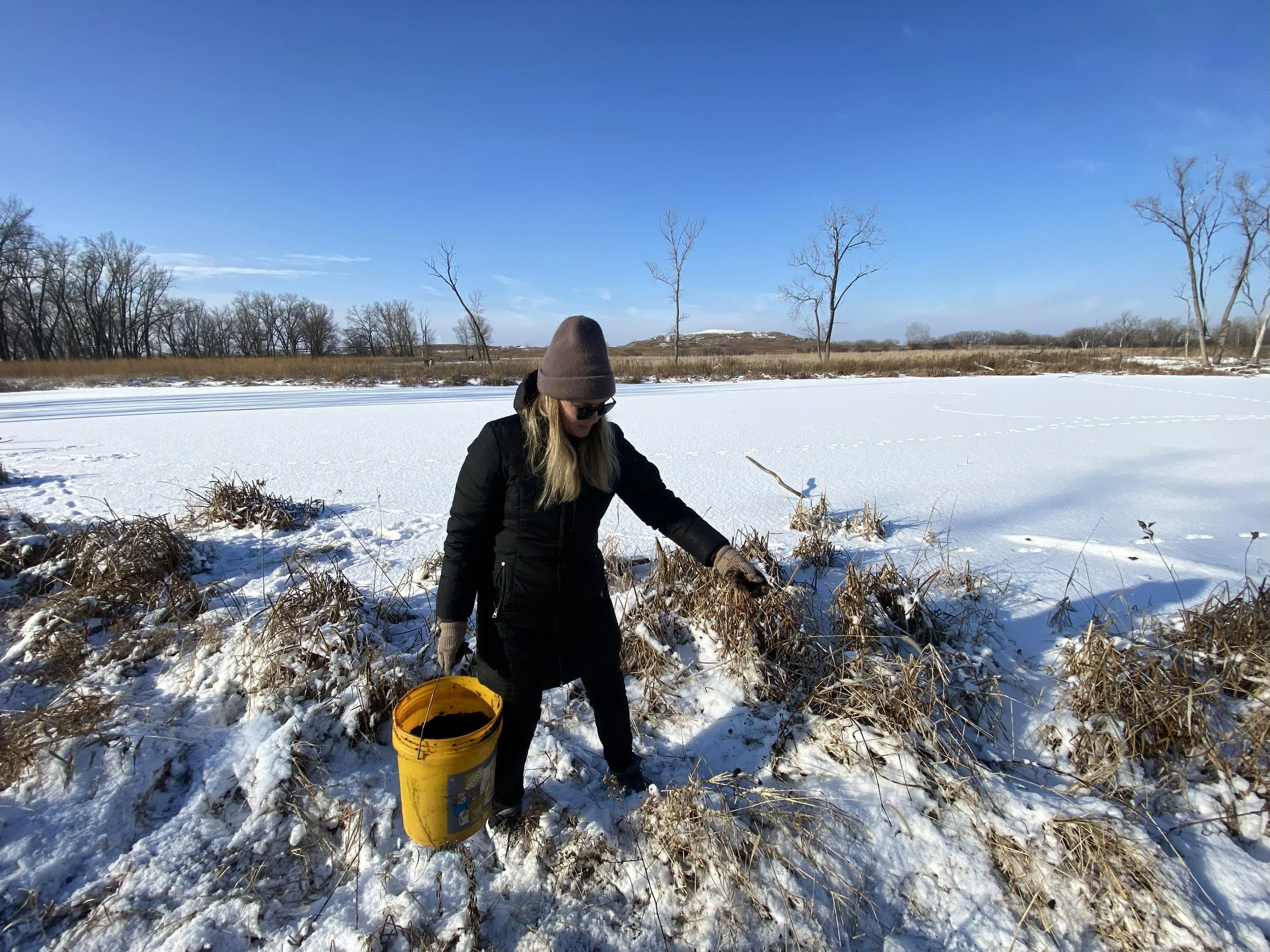 MLK Day of Service: Volunteer Winter Seeding at Indian Ridge Marsh