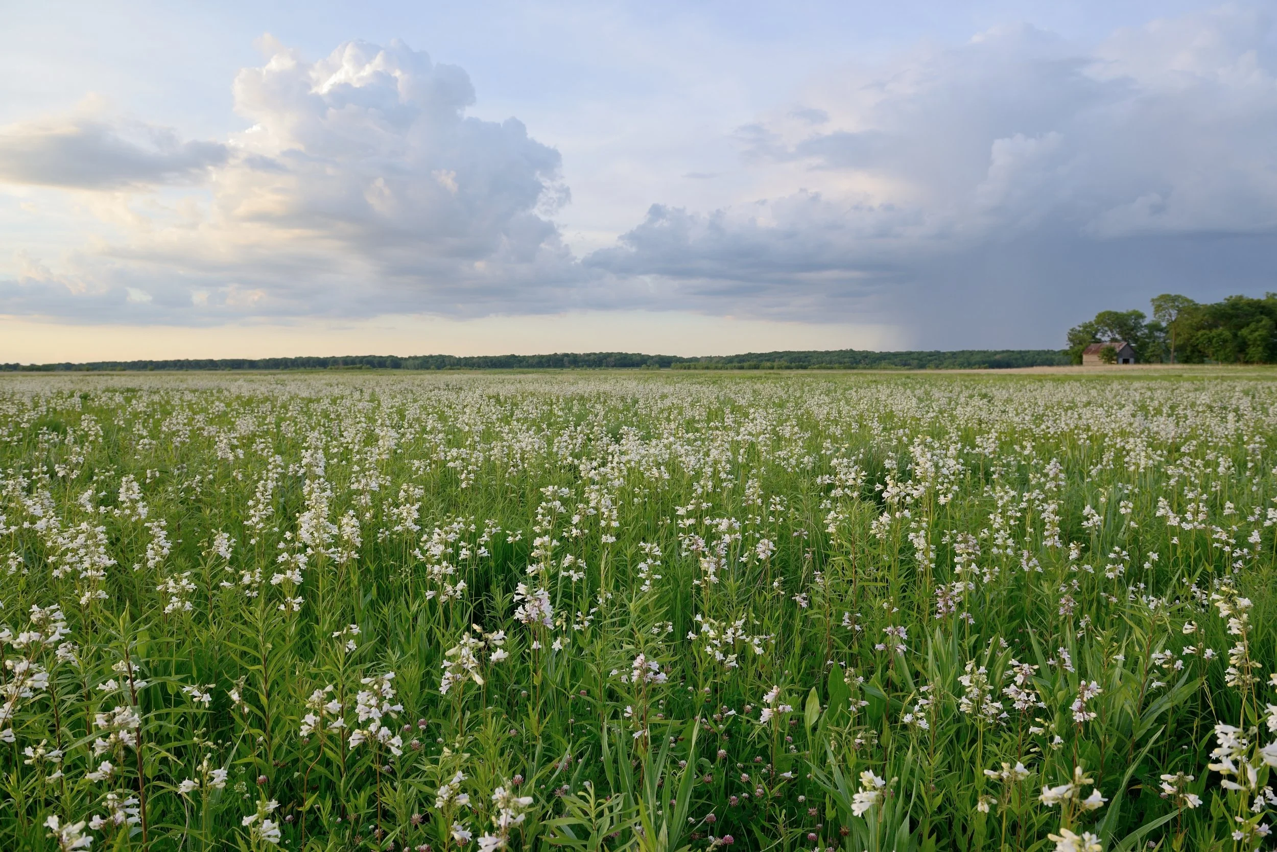Board of Directors resized.jpg