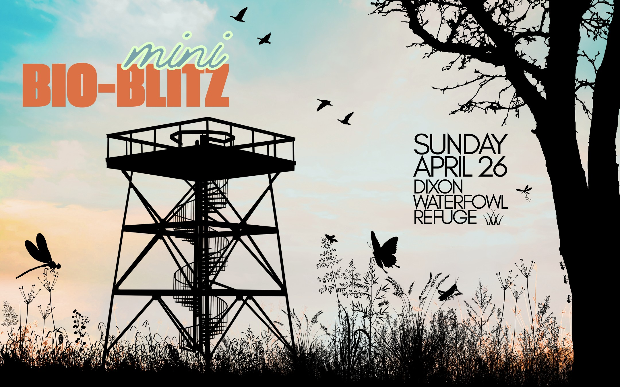 Mini-Bioblitz at the Sue and Wes Dixon Waterfowl Refuge